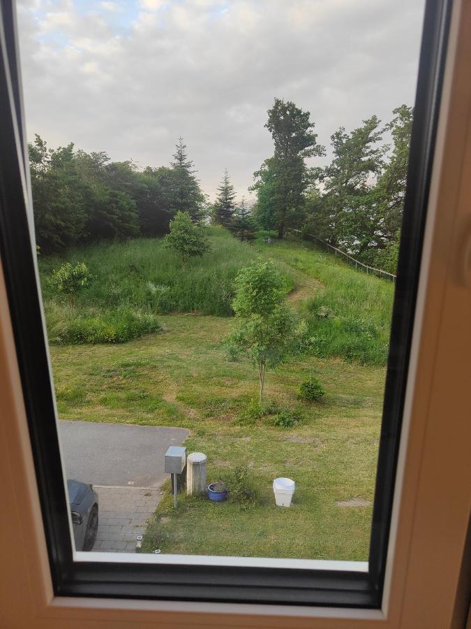 Le Bouveret卡尔姆禅间旅馆住宿加早餐旅馆 外观 照片