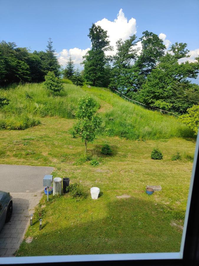 Le Bouveret卡尔姆禅间旅馆住宿加早餐旅馆 外观 照片
